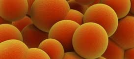 antimicrobial-stewardship-pneumonia antimicrobial-stewardship-pneumonia