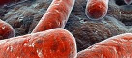antimicrobial-stewardship-legionnaires antimicrobial-stewardship-legionnaires