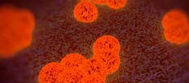antimicrobial-stewardship-mrsa antimicrobial-stewardship-mrsa