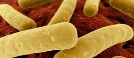 antimicrobial-stewardship-cdifficile antimicrobial-stewardship-cdifficile