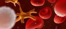 antimicrobial-stewardship-leukocytes antimicrobial-stewardship-leukocytes
