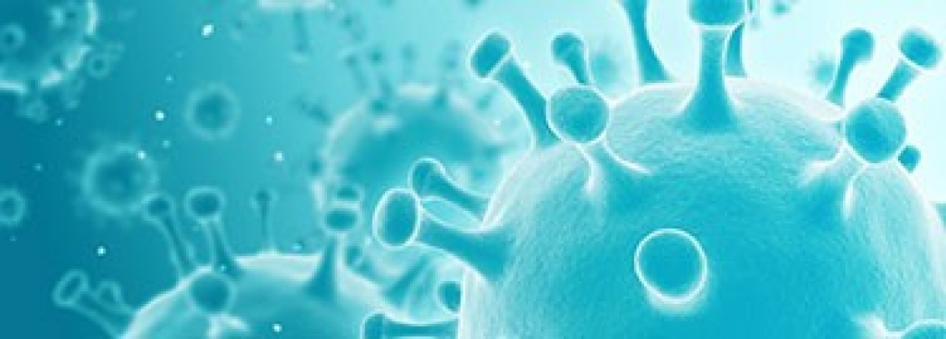 flu-testing flu-testing