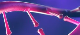 genetic-analysis-solutions-thumb-18-1380 IVF Solutions