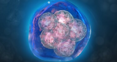 aneuploidy-hub aneuploidy-hub