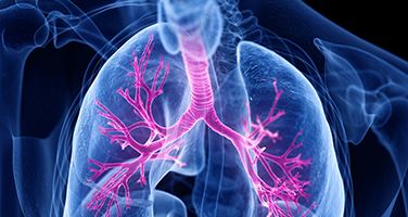 respiratory-1187 respiratory-1187