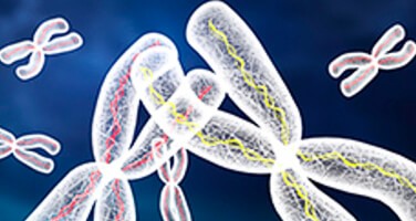 cystic-fibrosis-hub cystic-fibrosis-hub