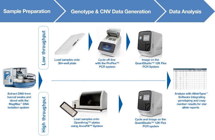 Workflow - Quantitative PCR solution using TaqMan Assays and QuantStudio 12K Flex System Workflow - Quantitative PCR solution using TaqMan Assays and QuantStudio 12K Flex System