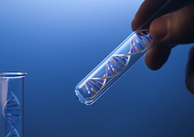 rare-genetic-diseaselp-19-2037 rare-genetic-diseaselp-19-2037