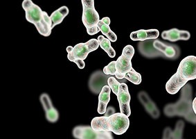 c-diff-webinar-l-18-0558 c-diff-webinar-l-18-0558