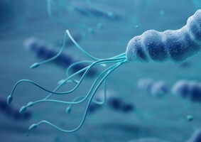abbott-h-pylori-webinar-l-18-2299 abbott-h-pylori-webinar-l-18-2299
