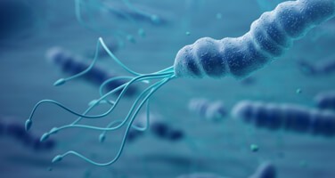 abbott-h-pylori-webinar-w-18-2299 abbott-h-pylori-webinar-w-18-2299