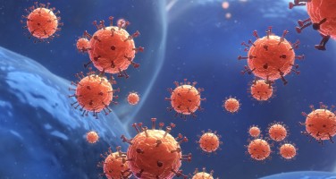 Importance of Sample Collection and Transport in the Age of COVID-19