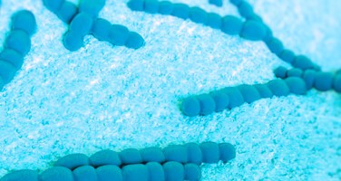 understanding-community-acquired-pneumonia-treatment-options-landing-17-084-3060 understanding-community-acquired-pneumonia-treatment-options-landing-17-084-3060