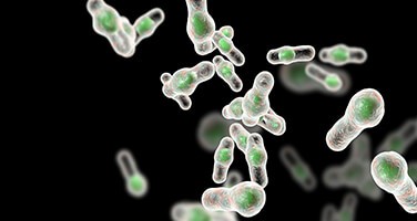 c-diff-webinar-w-18-0558 c-diff-webinar-w-18-0558