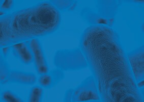 uti-antibiotic-stewardship-webinar-l-18-1356 uti-antibiotic-stewardship-webinar-l-18-1356