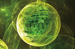 life-sciences-workflow-img-20-0336