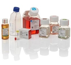 cancer-research-kits-17-073-2918 cancer-research-kits-17-073-2918