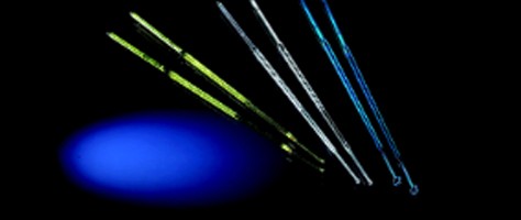 thermo-scientific-nunc-disposable-loops-needles thermo-scientific-nunc-disposable-loops-needles