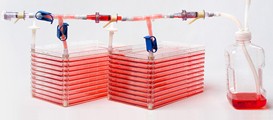 thermo-scientific-bioprocessing-solutions-tmb