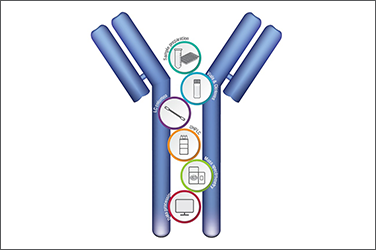 376x250-biopharma-1758