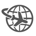 global-icon