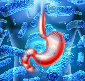 labreporter-norovirus-stomach labreporter-norovirus-stomach