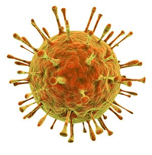 labreporter-norovirus labreporter-norovirus