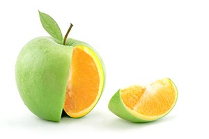labreporter-green-orange labreporter-green-orange