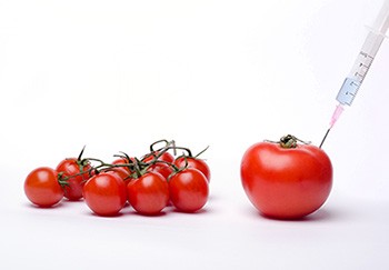 labreporter-tomatoe labreporter-tomatoe