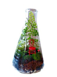 reusing-glass-flask reusing-glass-flask