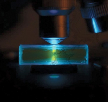lab-reporter-microscopy2 A “LITTLE” Microscopy News