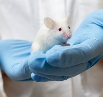chemical-toxicity-testing-article chemical-toxicity-testing-article