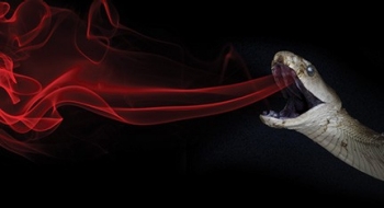 venom-immunotherapy-article venom-immunotherapy-article