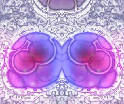 growing-cells-on-mirrors growing-cells-on-mirrors