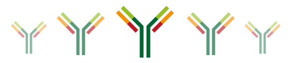 lab-reporter-antibody-buying-guide lab-reporter-antibody-buying-guide