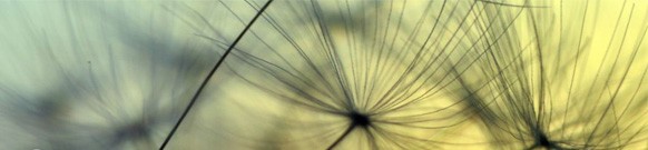 combatting-climate-change-allergies-99808 combatting-climate-change-allergies-99808