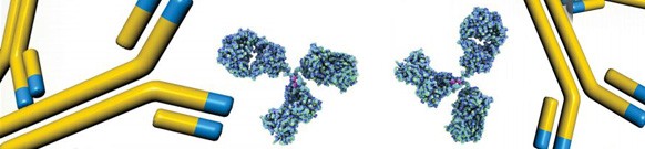 targeting-diseases-monoclonal-antibodies-99808 targeting-diseases-monoclonal-antibodies-99808