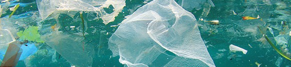 marine-litter-drifting-concern marine-litter-drifting-concern