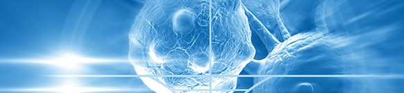 immune-oncology-research immune-oncology-research