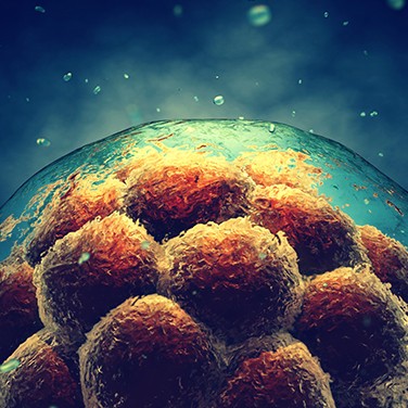 life-science-stem-cell-0827 life-science-stem-cell-0827