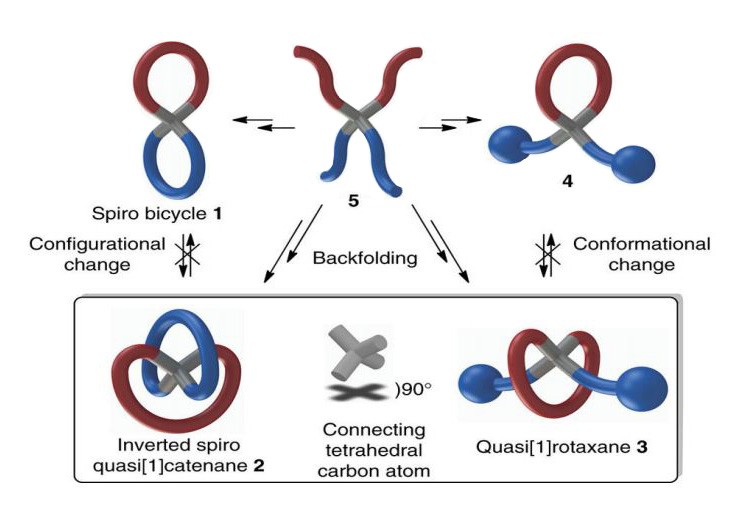 pretzel-shaped-molecules-diagram pretzel-shaped-molecules-diagram