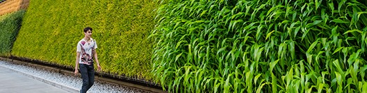 future-foods-sustainable-farming-art-18-101-0508- future-foods-sustainable-farming-art-18-101-0508-