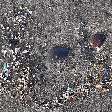 microplastics-investigating-risk-understanding-evidence-19-0729 Microplastics washed up on a beach