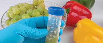 QueChERS SPE in Food and Beverage Testing