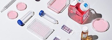 Providing Cell Culture Excellence
