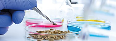 gmo-labeling-1429
