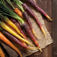 Food-Article-200-0103 Food-Article-200-0103