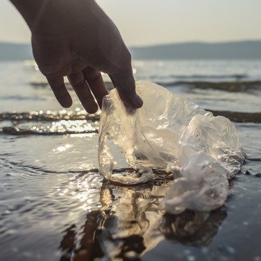 How Plastic in the Ocean Affects Us