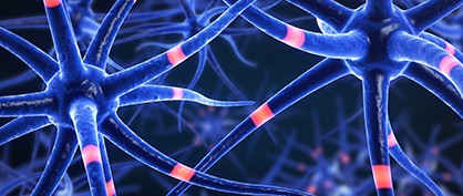 ms-research-synopsis-0440