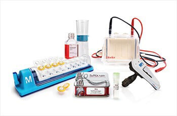 nlsu-life-sciences-3169 nlsu-life-sciences-3169